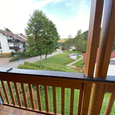 Birke 9, 10 Oder 11 Apartment Todtmoos Exterior photo
