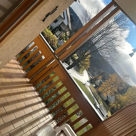Birke 9, 10 Oder 11 Apartment Todtmoos Exterior photo