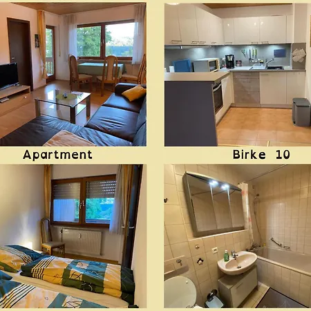 Birke 9, 10 Oder 11 Apartment Todtmoos Exterior photo