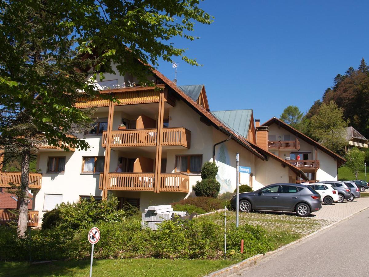 Birke 9, 10 Oder 11 Apartment Todtmoos