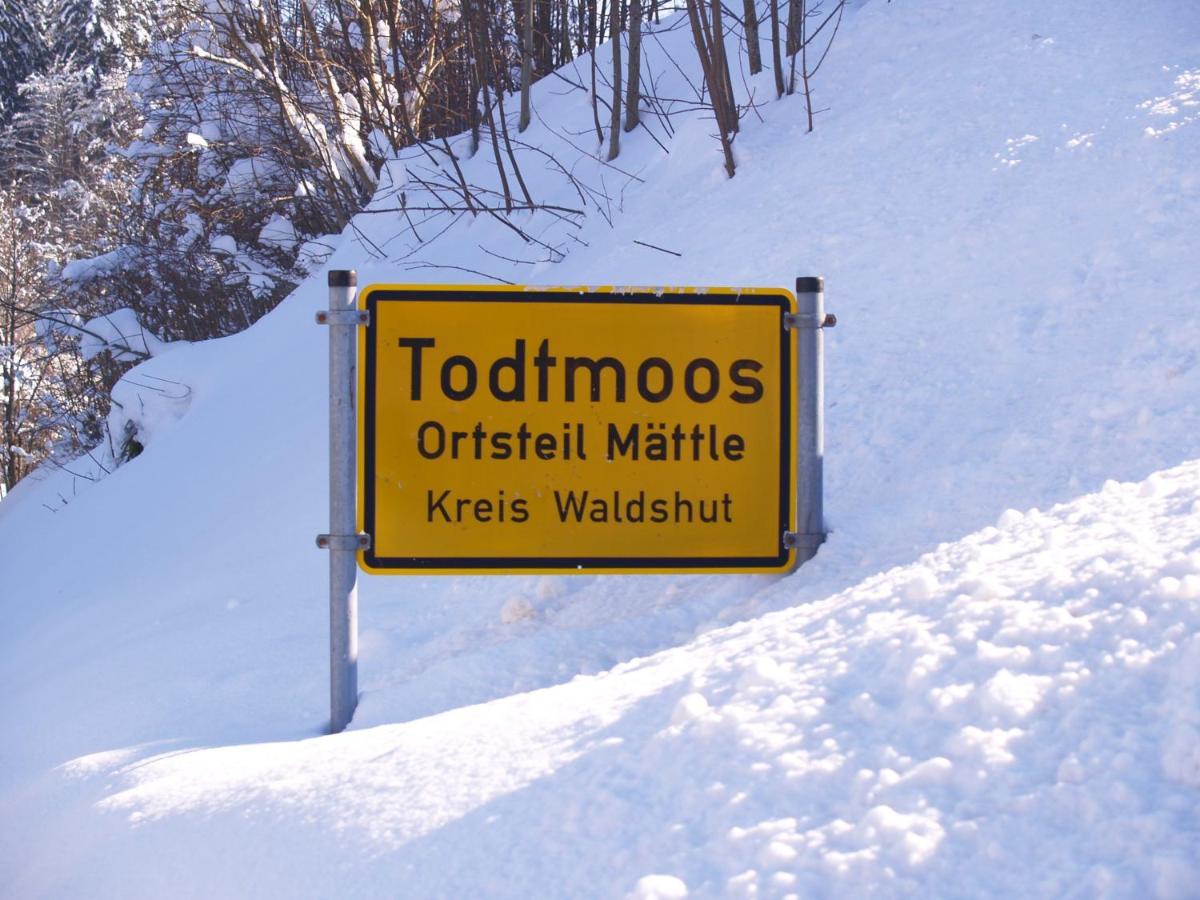 Birke 9, 10 Oder 11 Apartment Todtmoos