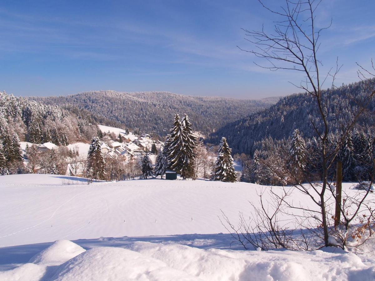 Birke 9, 10 Oder 11 * Todtmoos